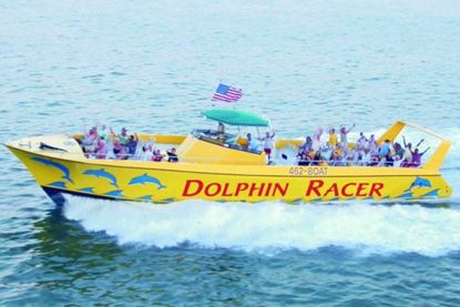 Picture of Dolphin Racer Speedboat Adventure